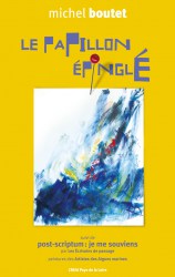 lepapillonepingle